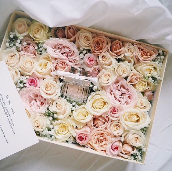 کادو ولنتاین باکس عطر و گل (۱)